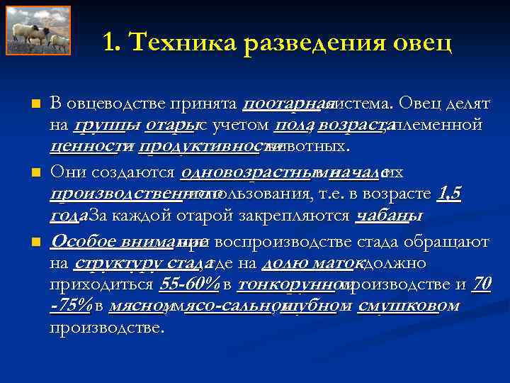 1. Техника разведения овец n n n В овцеводстве принята поотарная система. Овец делят