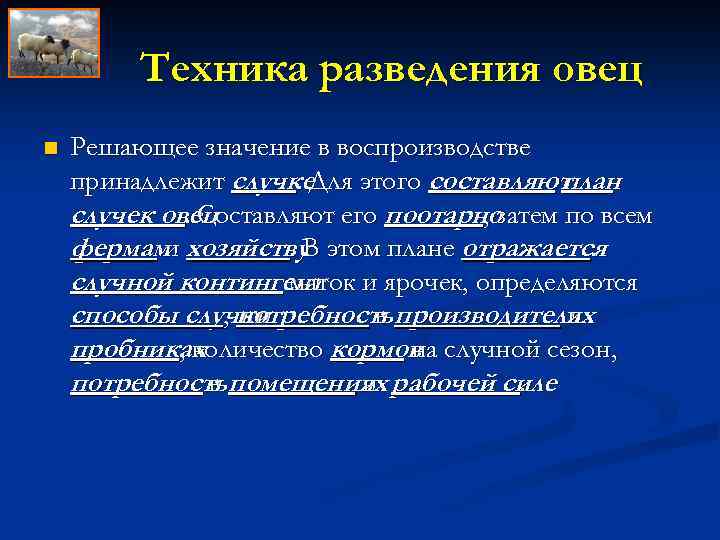 Техника разведения овец n Решающее значение в воспроизводстве принадлежит случке. Для этого составляют. план