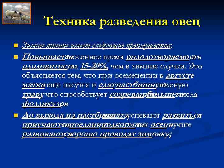 Техника разведения овец n n n Зимнее ягнение имеет следующие преимущества: Повышаетсяосеннее время оплодотворяемость