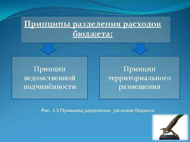 Принципы разделения расходов бюджета: Принцип ведомственной подчинённости Принцип территориального размещения Рис. 4. 3 Принципы