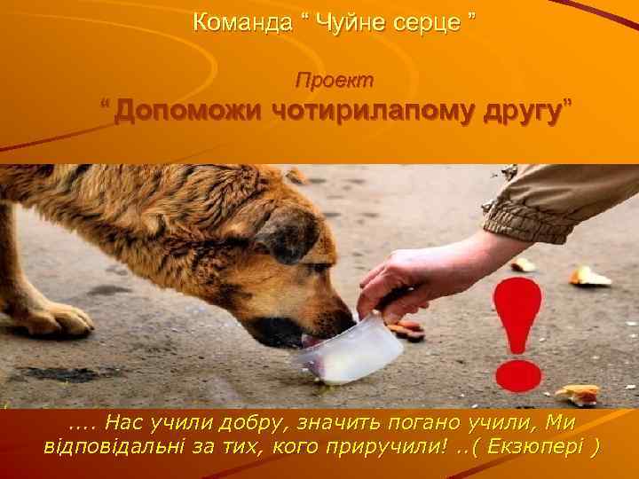 Команда “ Чуйне серце ” Проект “ Допоможи чотирилапому другу” . . Нас учили