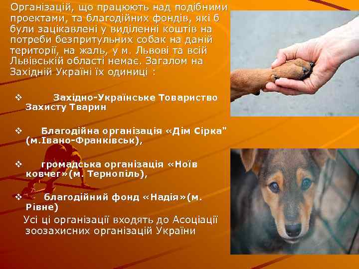  Організацій, що працюють над подібними проектами, та благодійних фондів, які б були зацікавлені
