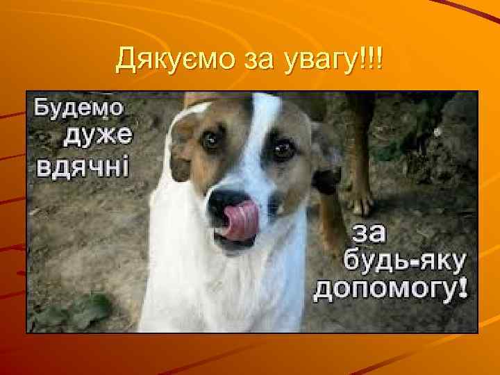 Дякуємо за увагу!!! 