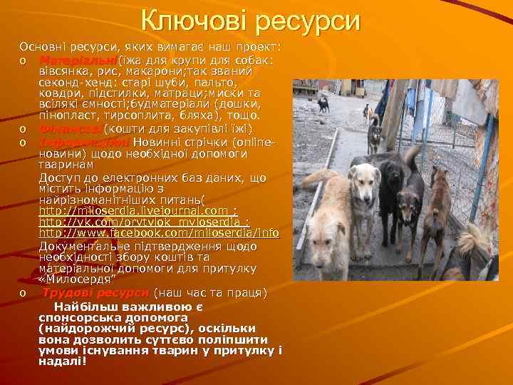 Ключові ресурси Основні ресурси, яких вимагає наш проект: o Матеріальні(їжа для крупи для собак:
