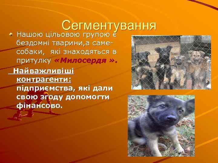 Сегментування Нашою цільовою групою є бездомні тварини, а самесобаки, які знаходяться в притулку «Милосердя