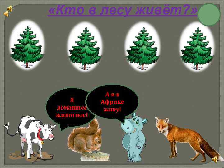  «Кто в лесу живёт? » Я домашнее животное! А я в Африке живу!