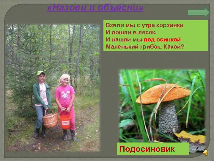  «Назови и объясни» Взяли мы с утра корзинки И пошли в лесок. И