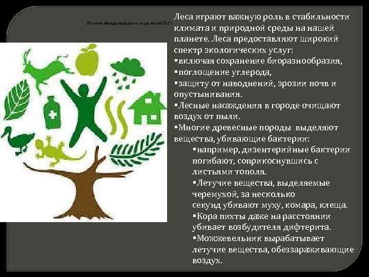  Логотип Международного года лесов 2011 Леса играют важную роль в стабильности климата и