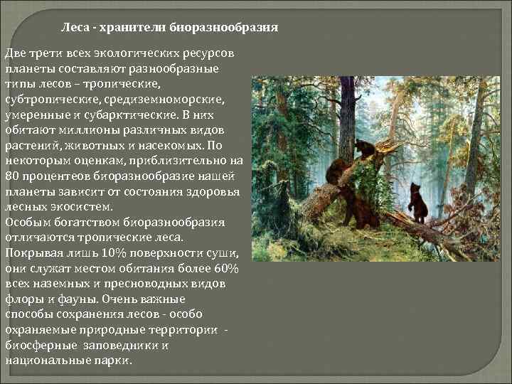 Леса - хранители биоразнообразия Две трети всех экологических ресурсов планеты составляют разнообразные типы лесов