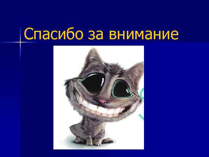 Спасибо за внимание 