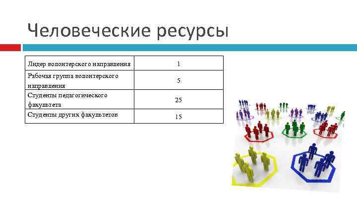 Человеческие ресурсы Лидер волонтерского направления Рабочая группа волонтерского направления Студенты педагогического факультета Студенты других