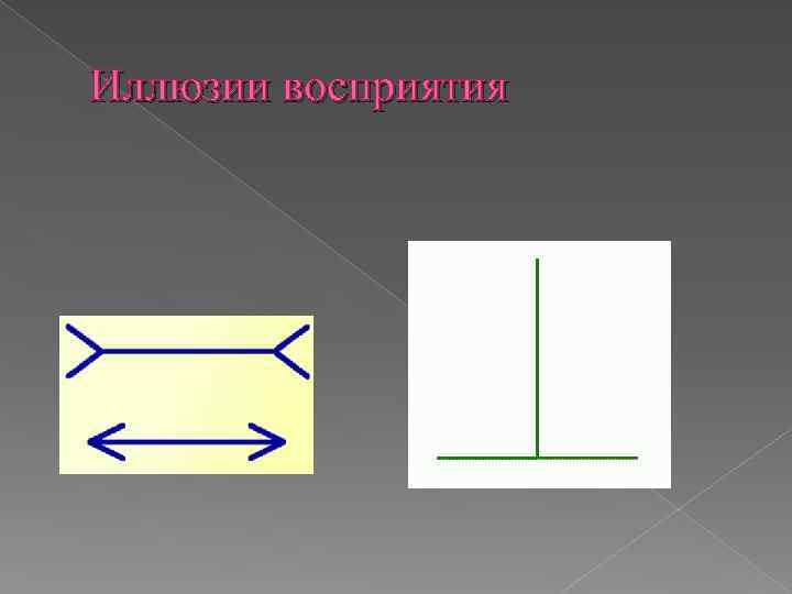 Иллюзии восприятия 