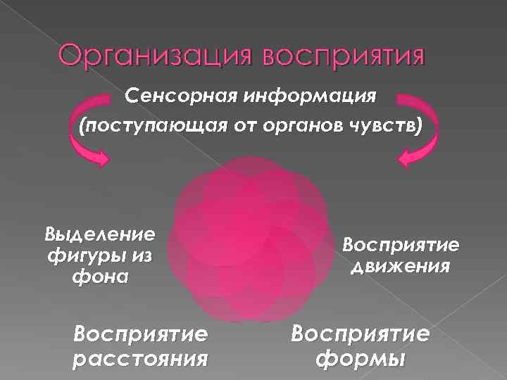 Организация восприятия Сенсорная информация (поступающая от органов чувств) Выделение фигуры из фона Восприятие расстояния