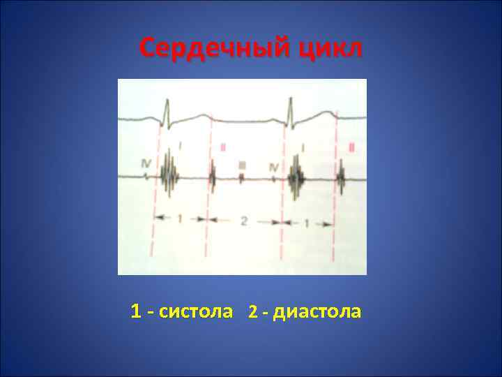 Сердечный цикл 1 - систола 2 - диастола 