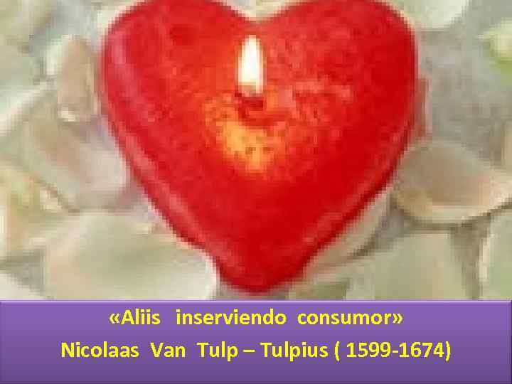  «Aliis inserviendo consumor» Nicolaas Van Tulp – Tulpius ( 1599 -1674) 