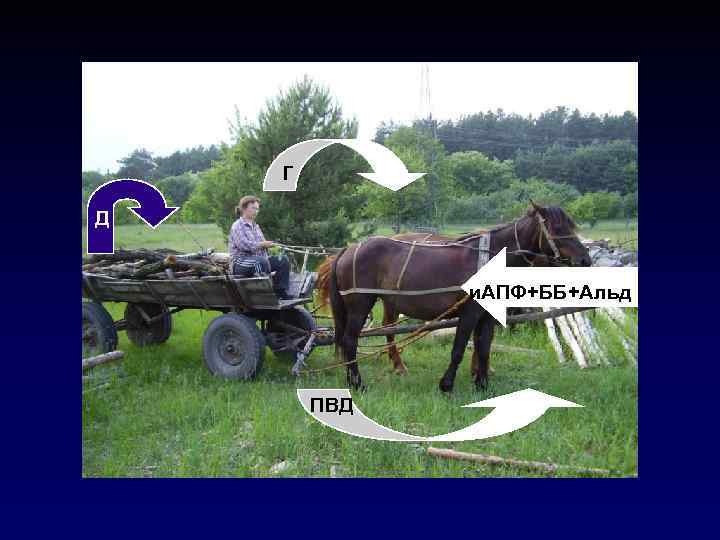 Г Д и. АПФ+ББ+Альд ПВД 