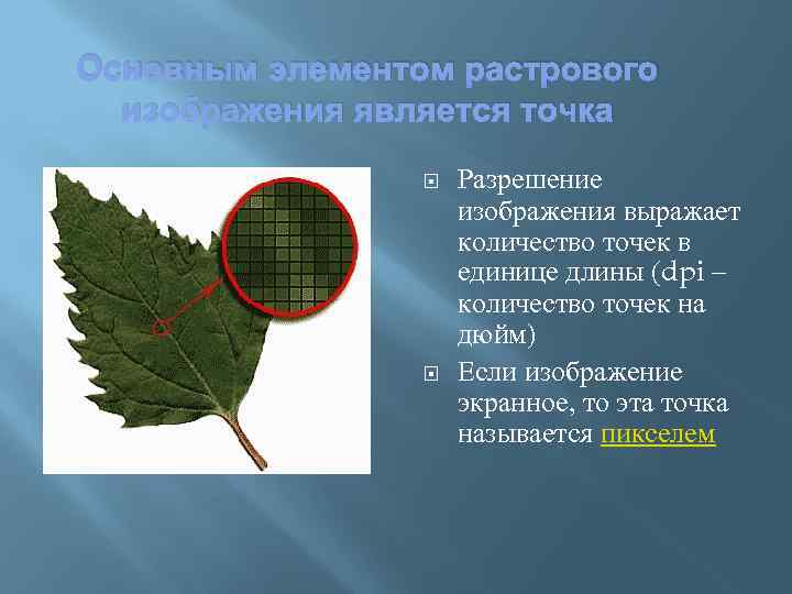 Основным элементом растрового изображения является точка Разрешение изображения выражает количество точек в единице длины