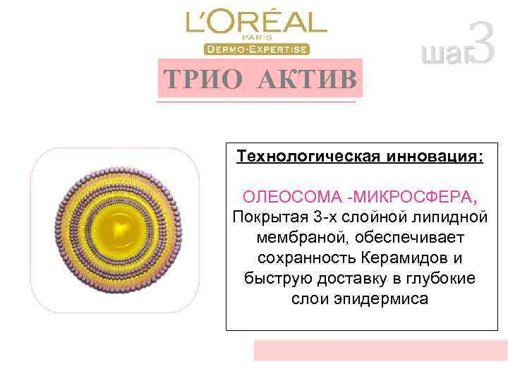 ТРИО АКТИВ 3 шаг Технологическая инновация: ОЛЕОСОМА -МИКРОСФЕРА, Покрытая 3 -х слойной липидной мембраной,
