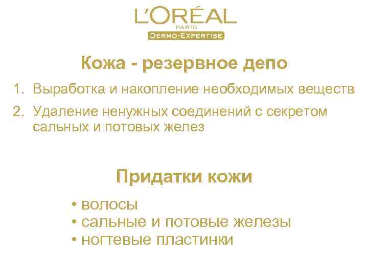 Кожа - резервное депо 1. Выработка и накопление необходимых веществ 2. Удаление ненужных соединений