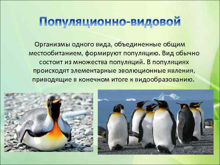 Организмы одного вида, объединенные общим местообитанием, формируют популяцию. Вид обычно состоит из множества популяций.