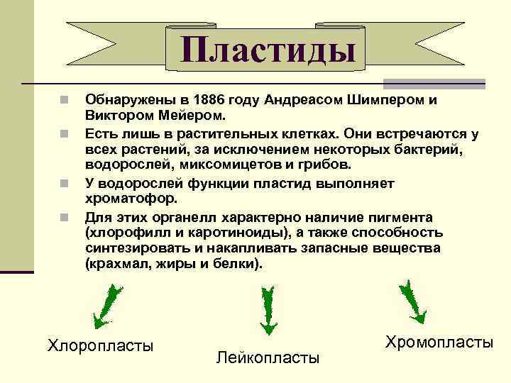 Пластиды n n Обнаружены в 1886 году Андреасом Шимпером и Виктором Мейером. Есть лишь