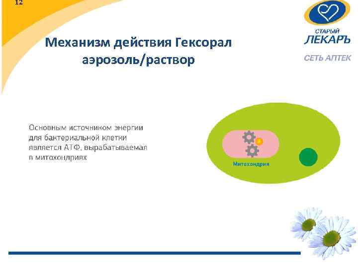 12 Механизм действия Гексорал аэрозоль/раствор 