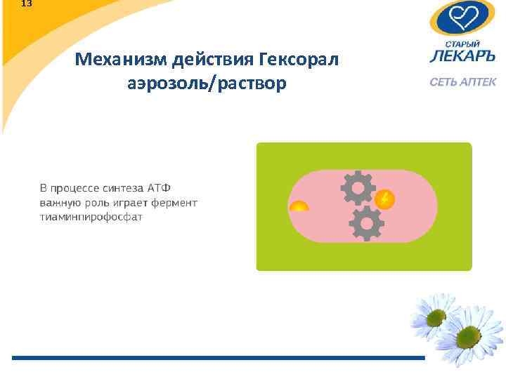 13 Механизм действия Гексорал аэрозоль/раствор 