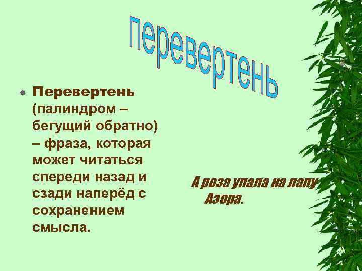  Перевертень (палиндром – бегущий обратно) – фраза, которая может читаться спереди назад и
