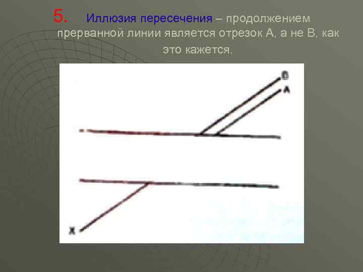 5. Иллюзия пересечения – продолжением прерванной линии является отрезок А, а не В, как