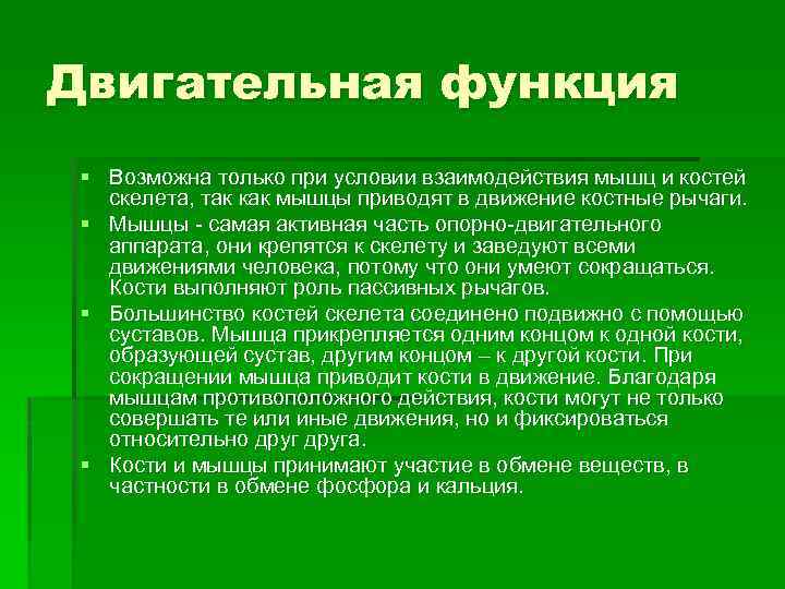 Двигательная функция § Возможна только при условии взаимодействия мышц и костей скелета, так как