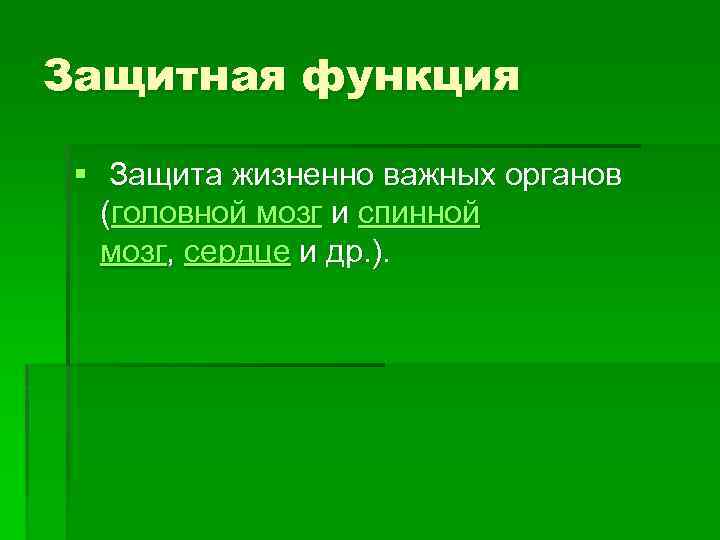 Защитная функция § Защита жизненно важных органов (головной мозг и спинной мозг, сердце и