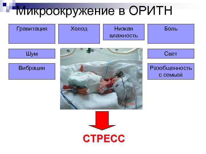 Микроокружение в ОРИТН Гравитация Холод Низкая влажность Боль Шум Свет Вибрация Разобщенность с семьей