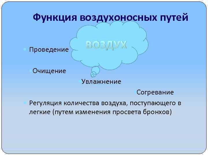 Функция воздухоносных путей Проведение ВОЗДУХ Очищение Увлажнение Согревание Регуляция количества воздуха, поступающего в легкие