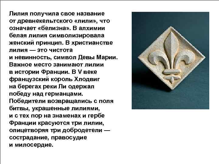 Что означают лилии. Лилия символ чистоты. Белая Лилия символ. Символ Девы Марии Лилия. Символ невиновности.