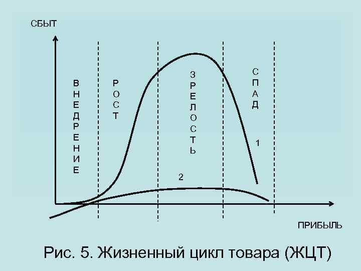 СБЫТ В Н Е Д Р Е Н И Е З Р Е Л