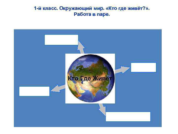 1 -й класс. Окружающий мир. «Кто где живёт? » . Работа в паре. 