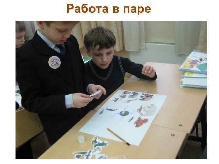 Работа в паре 