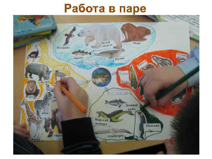 Работа в паре 