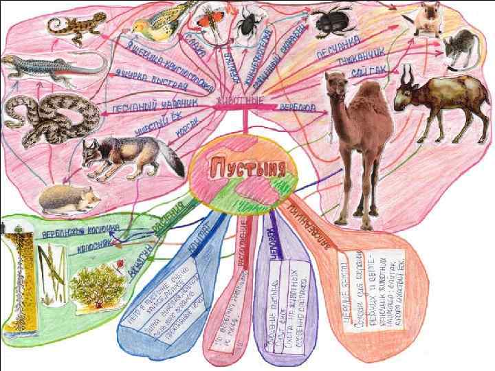 Ментальная карта животные