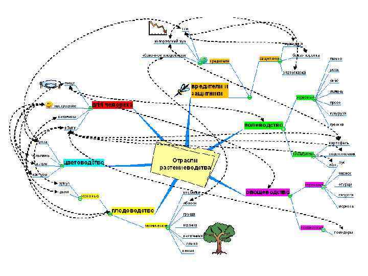 Интеллект карта животноводство