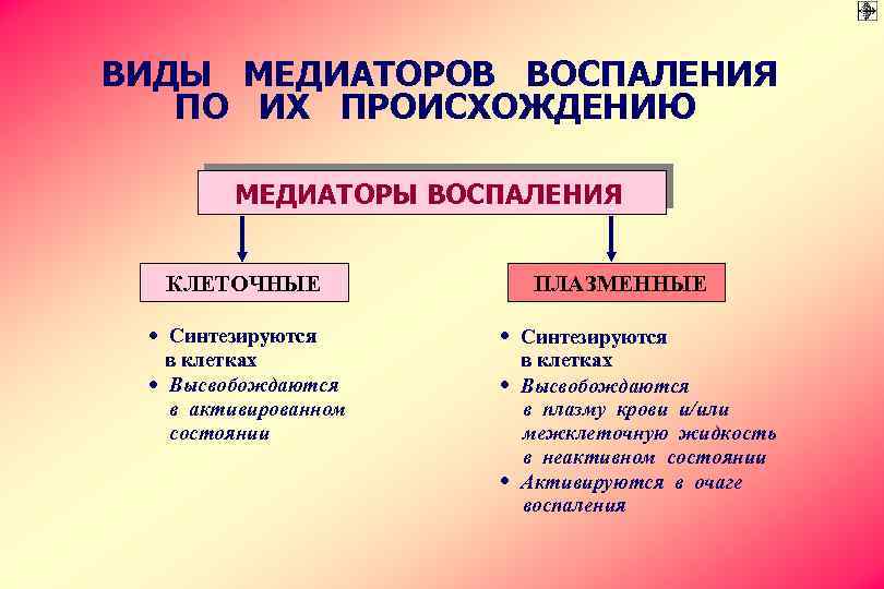 ВИДЫ МЕДИАТОРОВ ВОСПАЛЕНИЯ ПО ИХ ПРОИСХОЖДЕНИЮ МЕДИАТОРЫ ВОСПАЛЕНИЯ КЛЕТОЧНЫЕ · Синтезируются в клетках ·