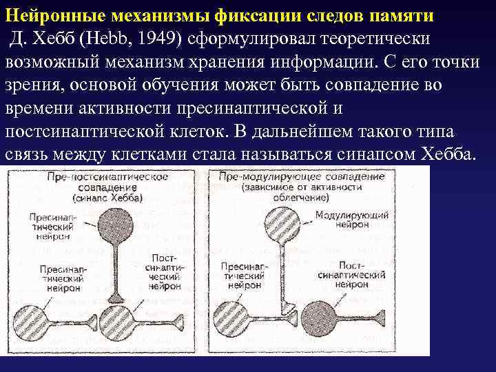 Длительность хранения следов в сенсорной памяти не превышает