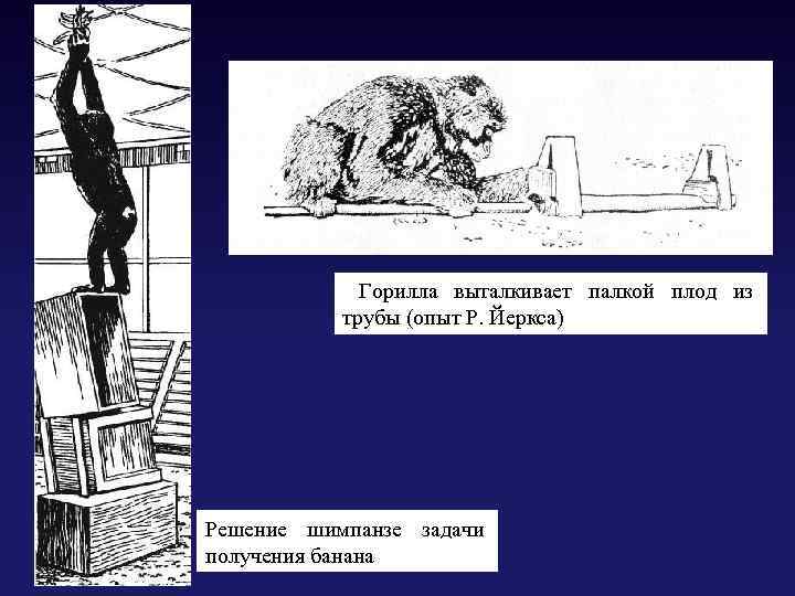 Картина максимова книжное научение