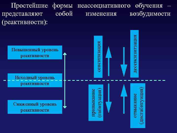  Простейшие формы неассоциативного обучения – представляют собой изменения возбудимости (реактивности): десенсизитзация сенситизация Повышенный