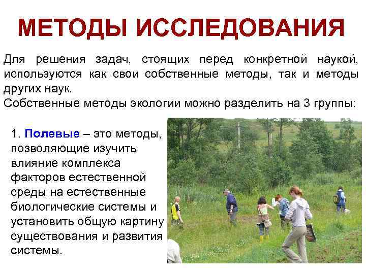 МЕТОДЫ ИССЛЕДОВАНИЯ Для решения задач, стоящих перед конкретной наукой, используются как свои собственные методы,