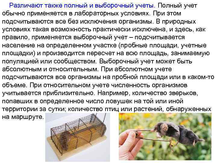 Различают также полный и выборочный учеты. Полный учет обычно применяется в лабораторных условиях. При