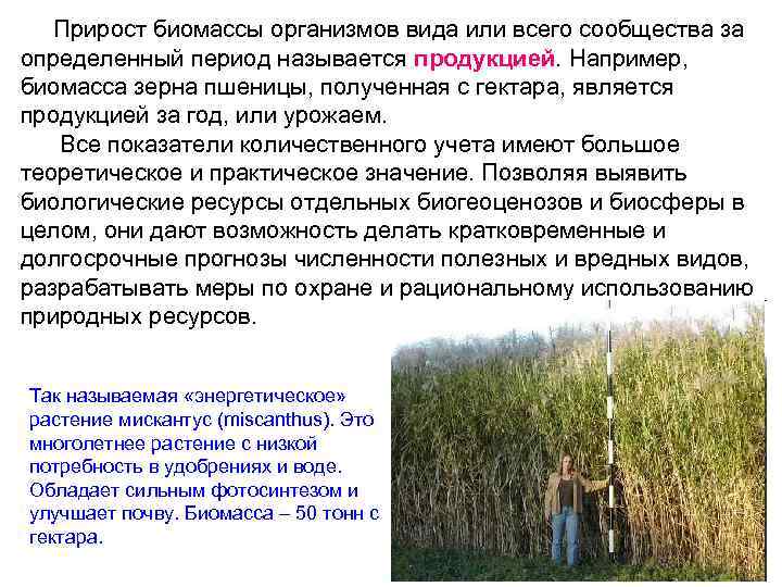  Прирост биомассы организмов вида или всего сообщества за определенный период называется продукцией. Например,