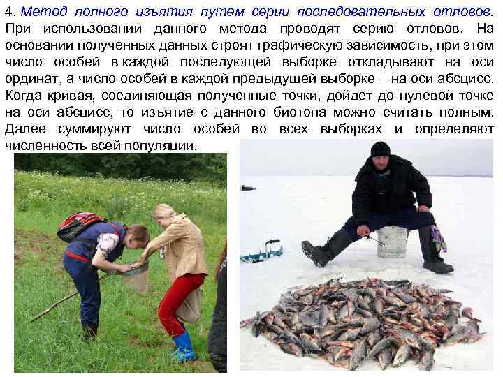 4. Метод полного изъятия путем серии последовательных отловов. При использовании данного метода проводят серию