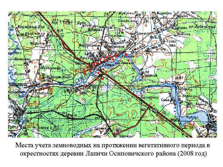 Карта осиповичи с улицами