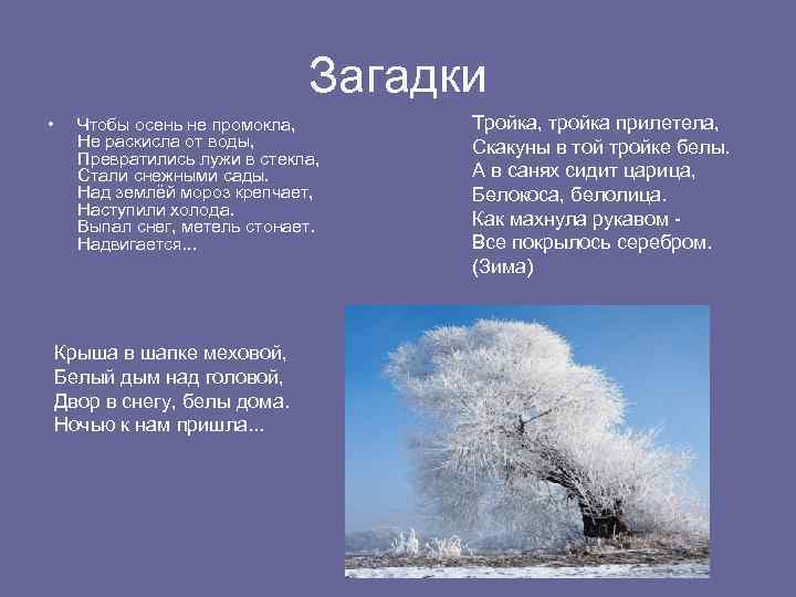 Загадка про снег. Осенние и зимние загадки. Загадки про снег со словами белые мухи. Выпал снег наступили холода. Загадки о зиме метели.